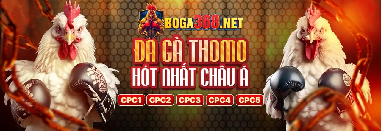 Đá Gà Trực Tuyến Hấp Dẫn tại AU8813